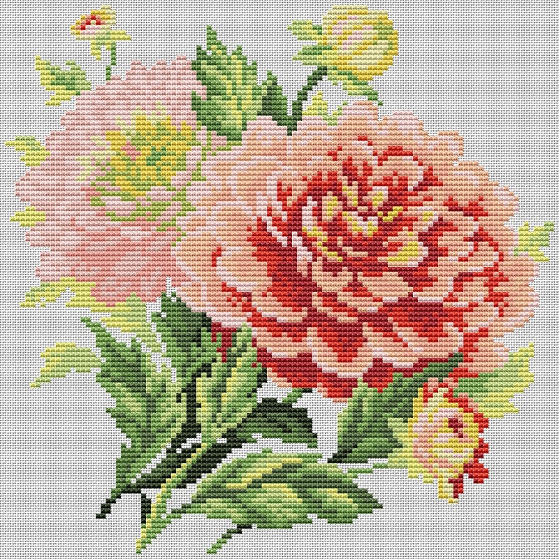 CMP M075 Dahlias