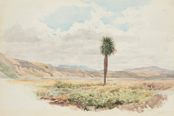 Valley of the Mason Highfield Rim Amuri Nelson circa 1864