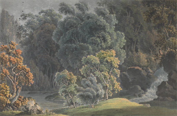 River Scene with Waterfall and High Trees 1792