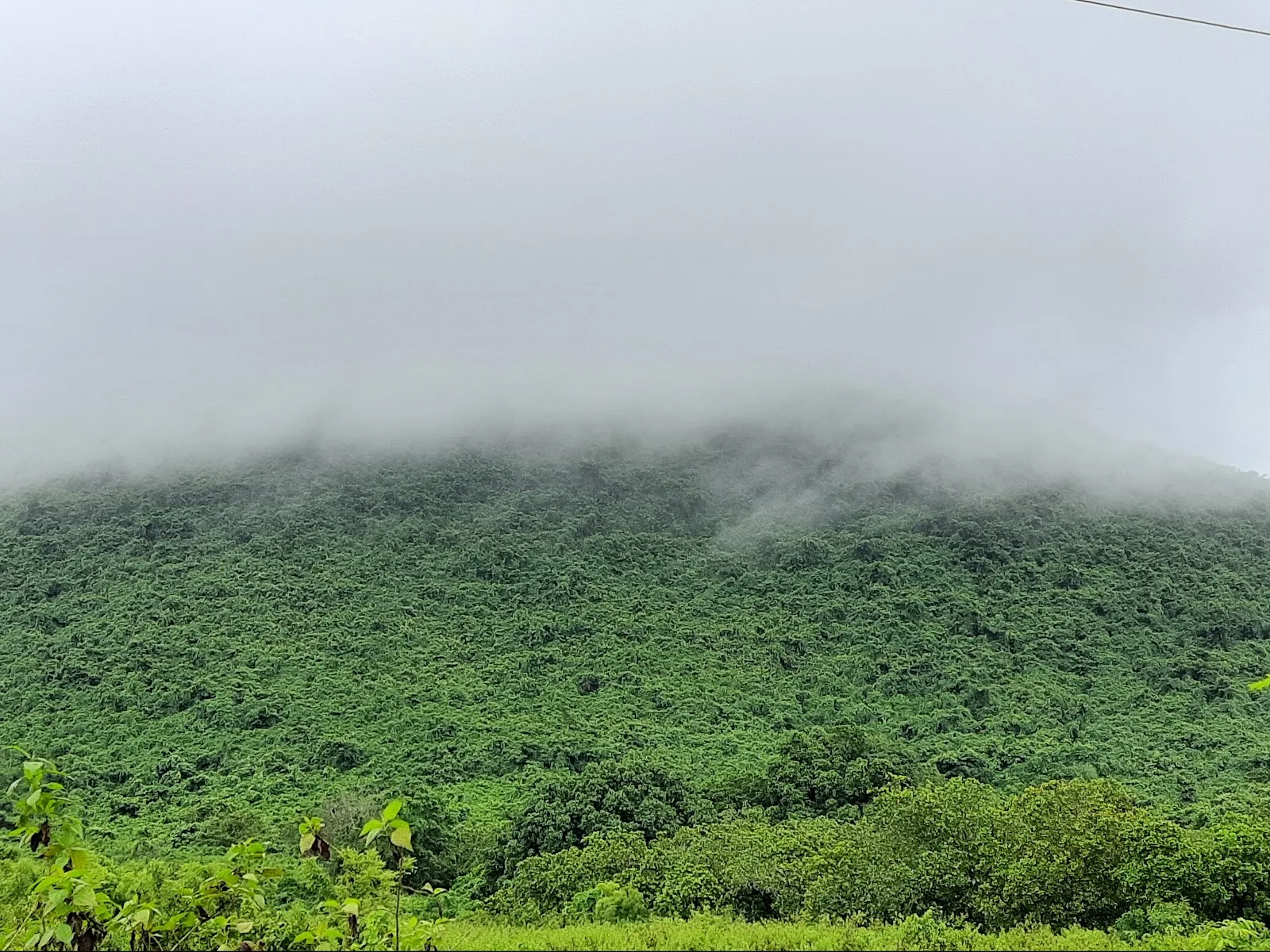 Tangi Valley
