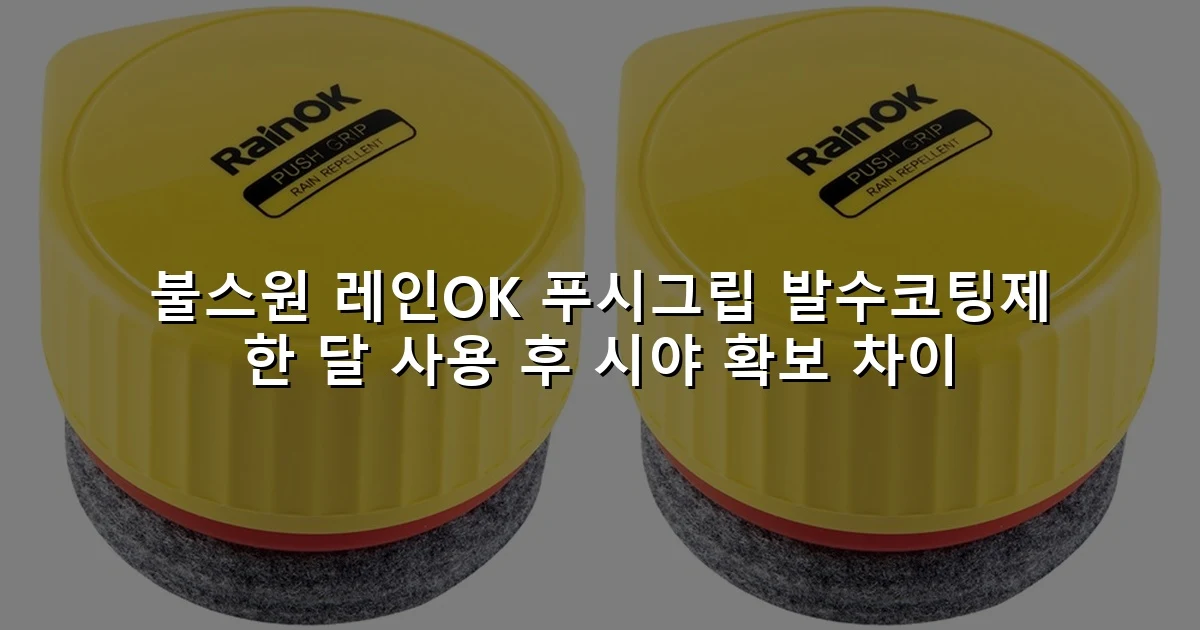 불스원 레인OK 푸시그립 발수코팅제 한 달 사용 후 시야 확보 차이