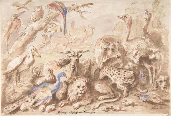 A Congress of Animals 16411710