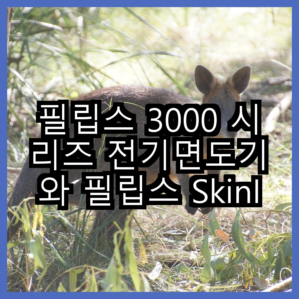 필립스 3000 시리즈 전기면도기와 필립스 SkinIQ 5000 시리즈 전기면도기, 어떤 특별한 기술이 숨겨져 있을까? 썸네일