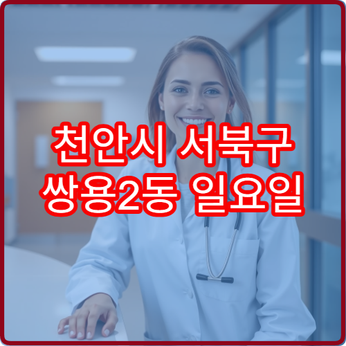 천안시 서북구 쌍용2동 일요일 피부과 진료 병원 두피 질환 상담