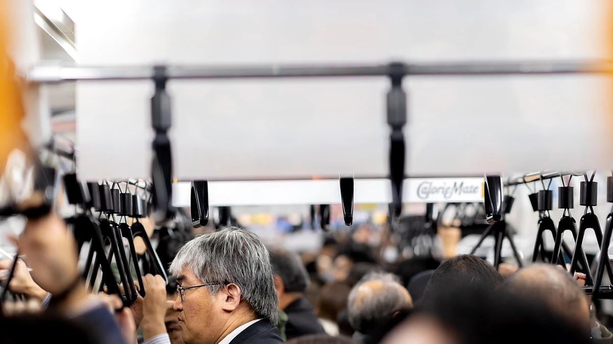 교통카드 할인 적용 범위와 할인율 차이점 한눈에 보기