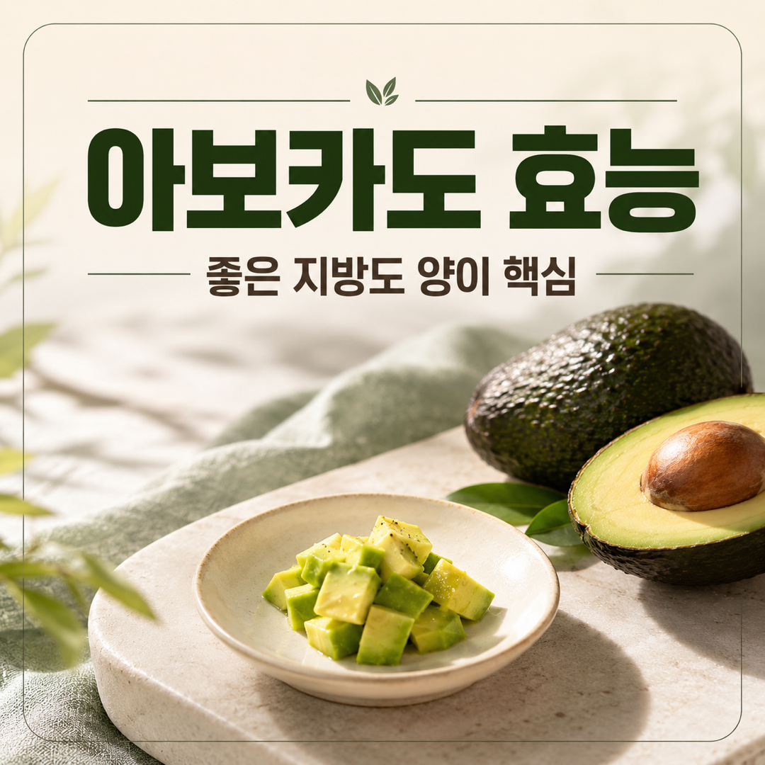 콘텐츠 대표 섬네일