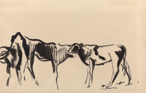 Calves