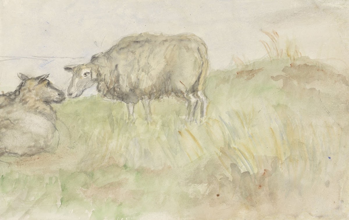 Twee schapen 1834   1911