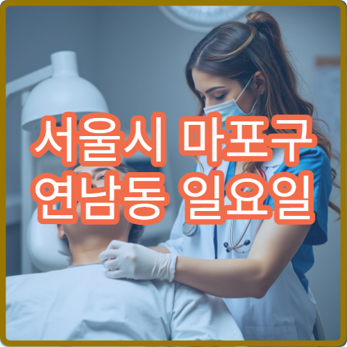 서울시 마포구 연남동 일요일 외과 피부열상 봉합 상담