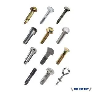 Bolts & Screws