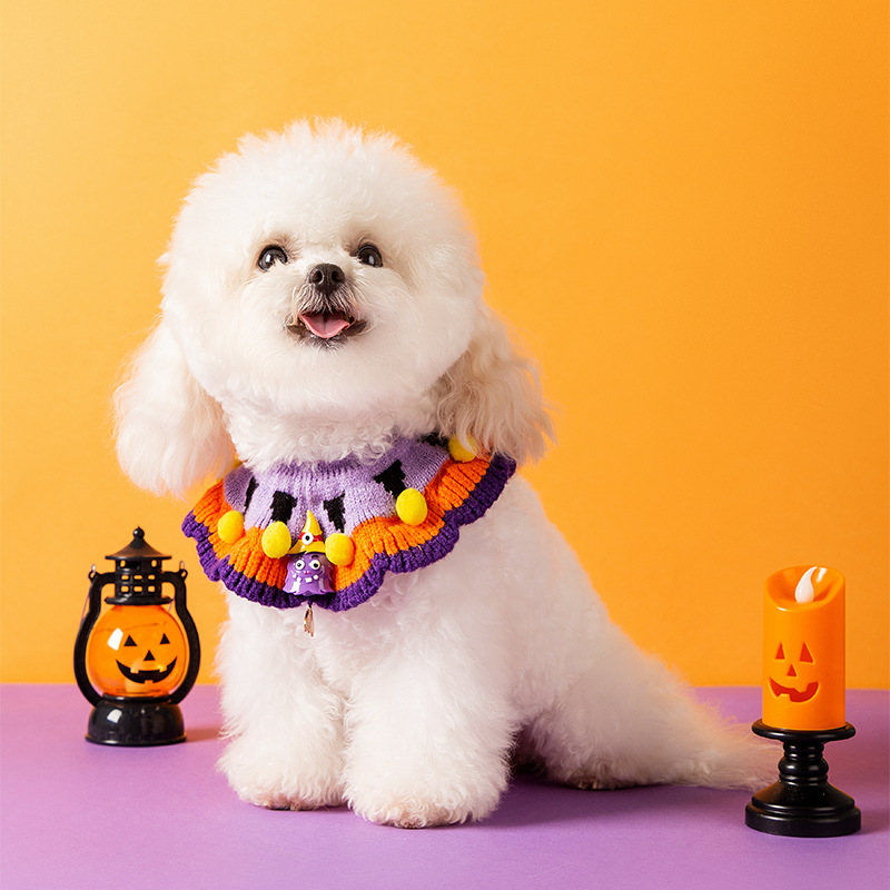 Halloween pumpkin pattern collar for dogs