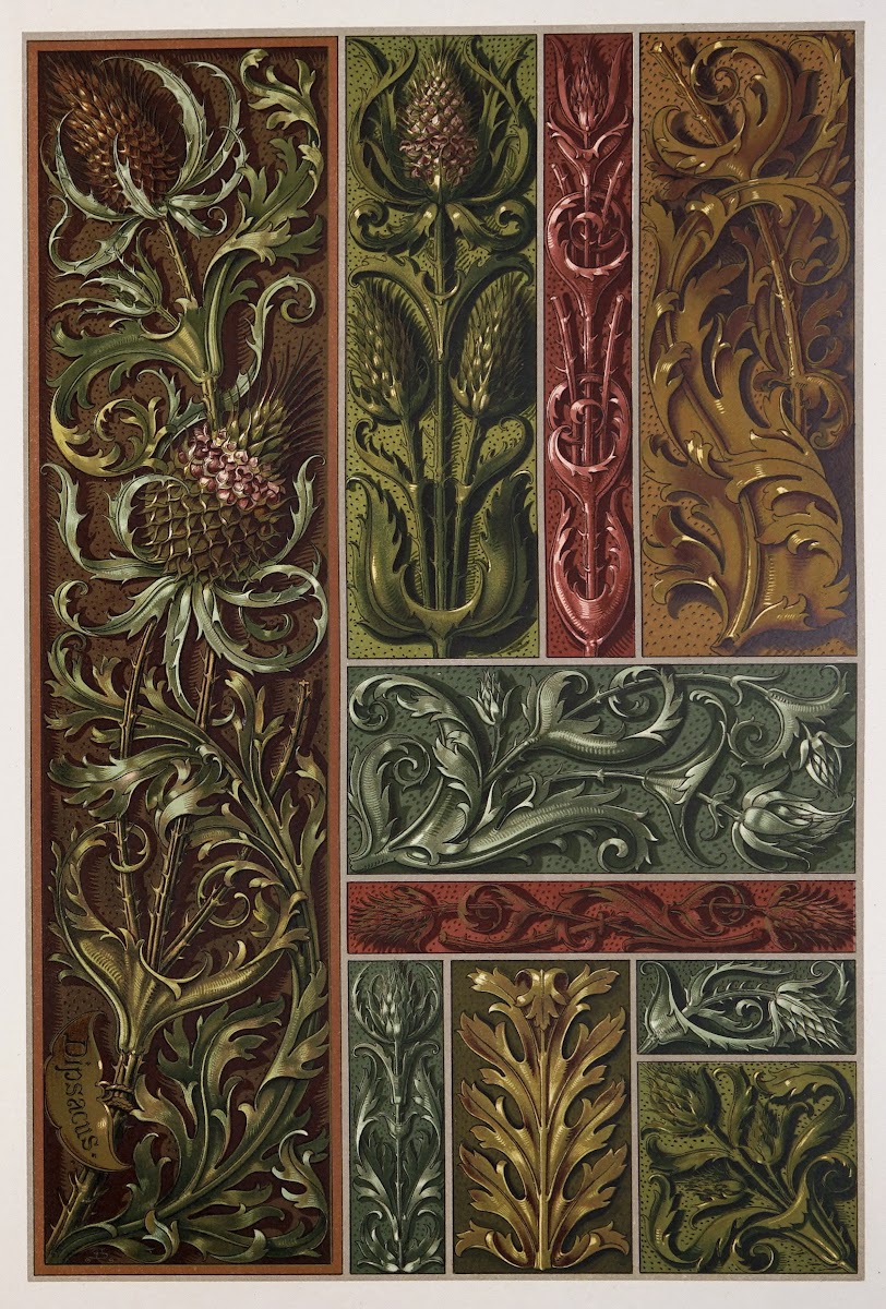 Die Pflanze in Kunst und Gewerbe Pl025 1886