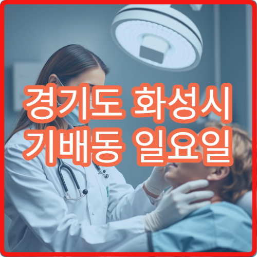 경기도 화성시 기배동 일요일 치과 병원 안내 오늘 치과 진료 리스트