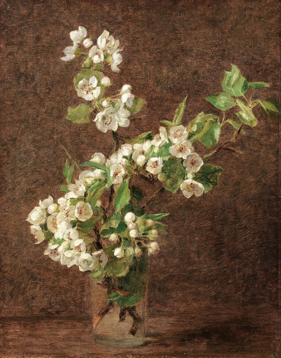Apple tree flowers