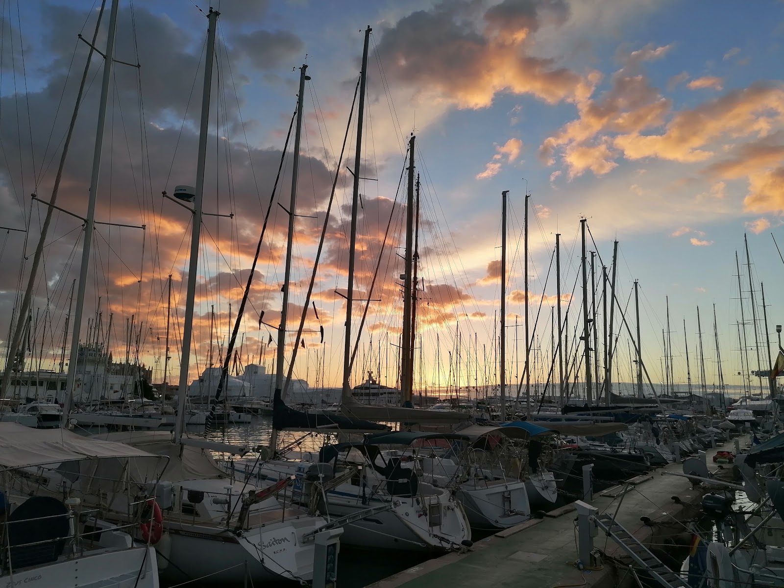 Photo de l’escale Palma