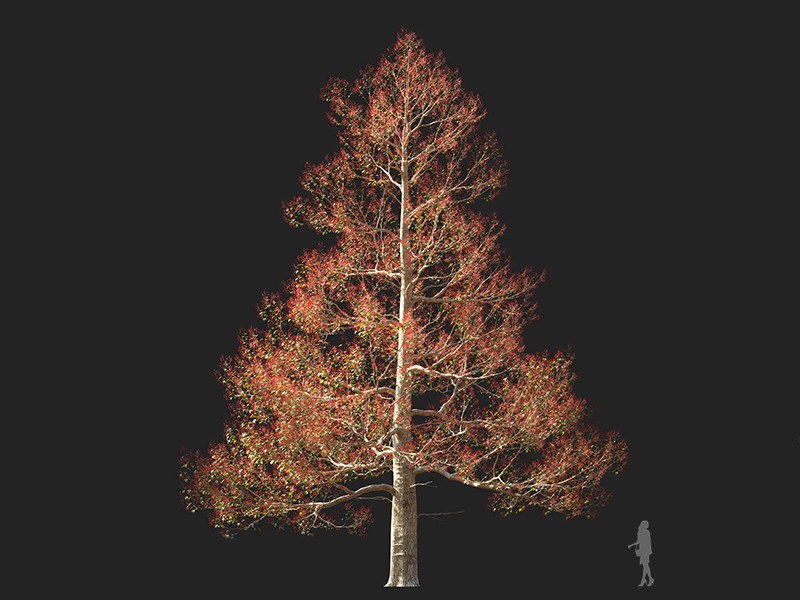 Maxtree - Plant Models Vol.132
