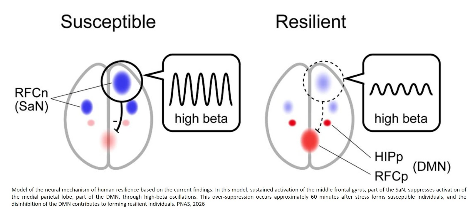 Human psychological resilience signatures in acute stress