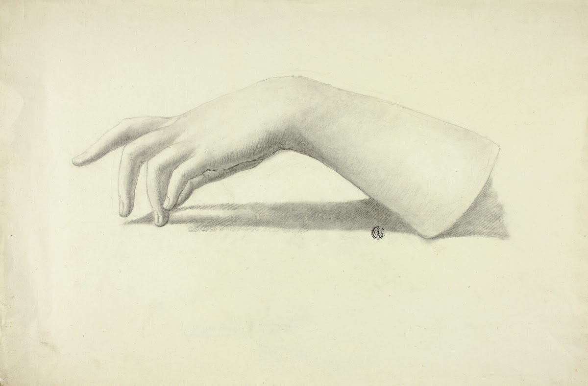 Left Forearm and Hand