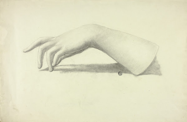 Left Forearm and Hand