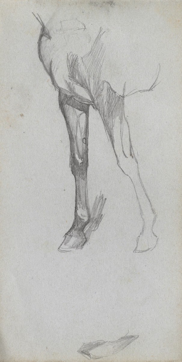 Study of a Horse 1860s