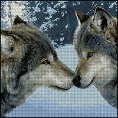 CMP 400684 Wolves Couple