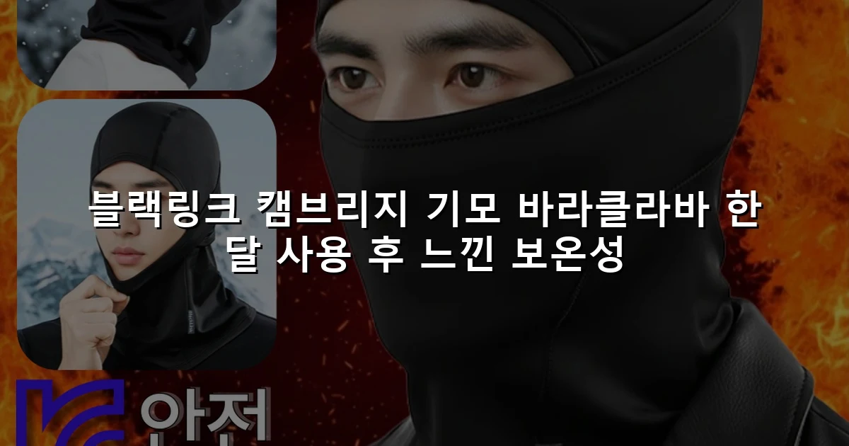 블랙링크 캠브리지 기모 바라클라바 한 달 사용 후 느낀 보온성