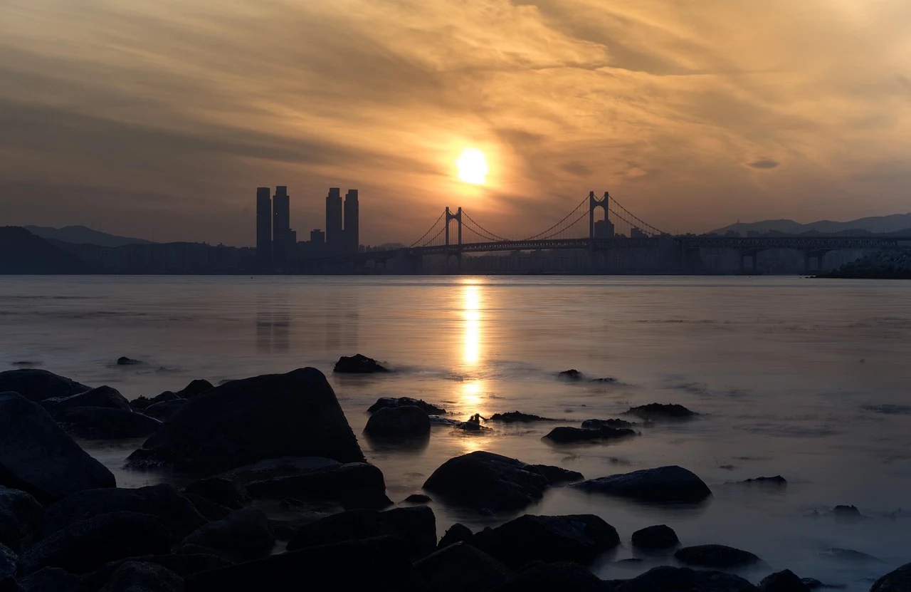 섹션 2 이미지