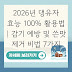 2026년 댕유자 효능 100% 활용법 | 감기 예방 및 쓴맛 제거 비법 7가지