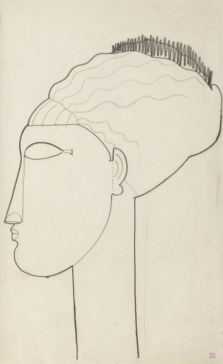 Tête profil gauche