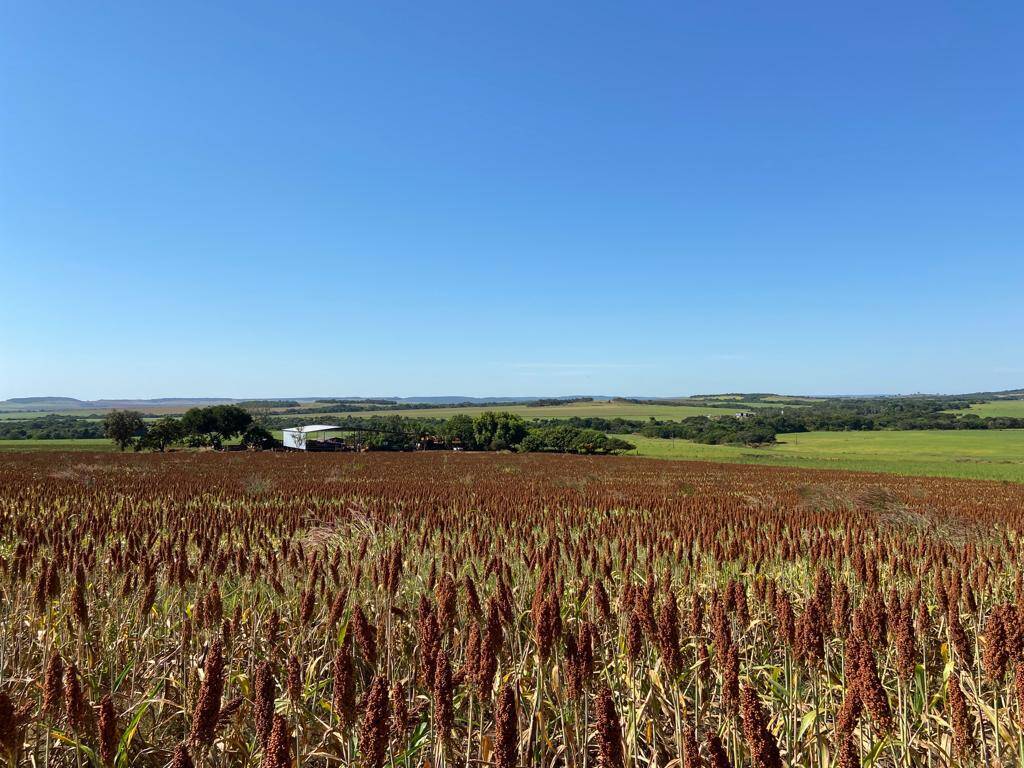 Fazenda de 152 Alq. em Campinápolis - MT 5