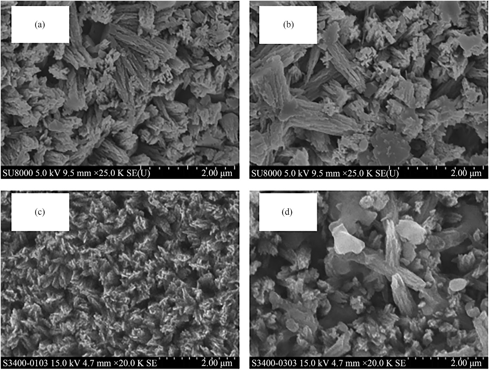 Pervaporation performance and characterization of hydrophilic ZSM-5 zeolite membranes for high inorganic acid and inorganic salts