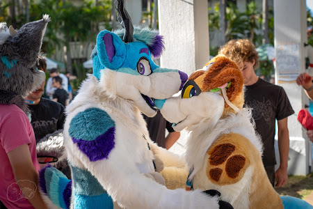 furdu-04207.jpg