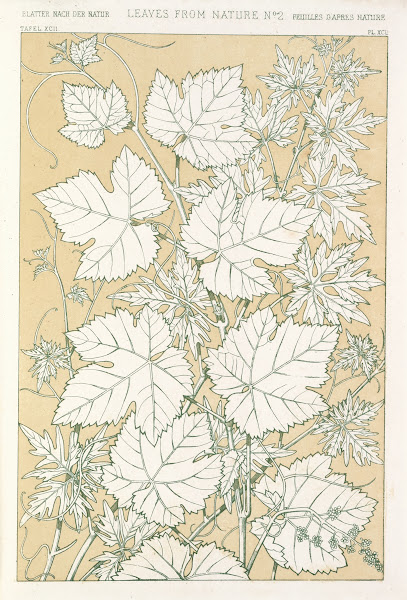 Leaves from Nature No2 1856