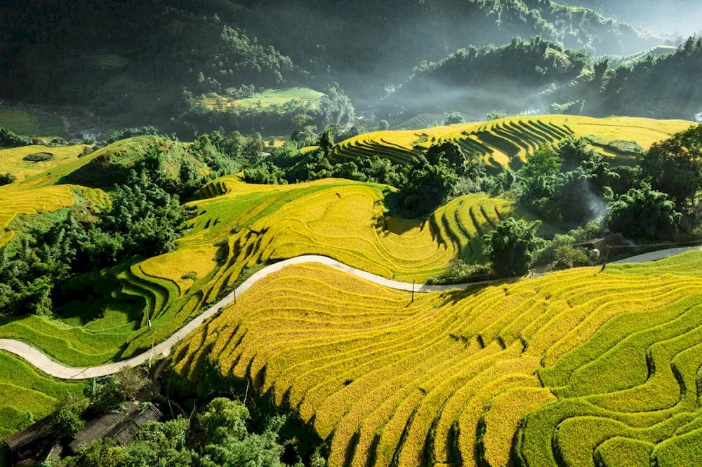 Lao Chai and Ta Van Villages