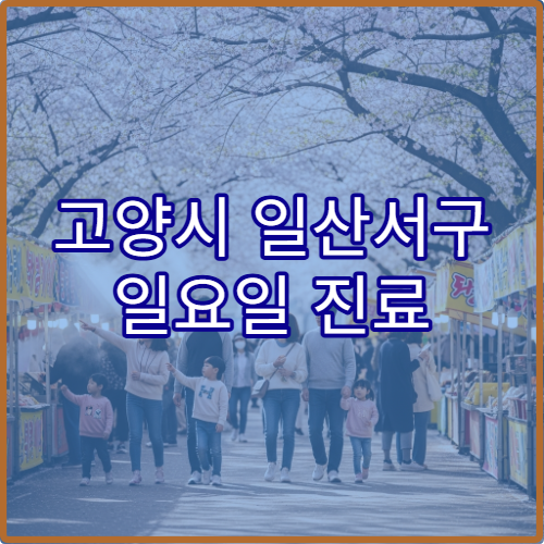 고양시 일산서구 일요일 진료 가정의학과 병원 만성질환 관리 상담 가능