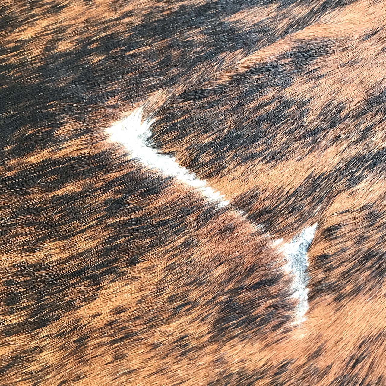 Safavieh Brindle Cowhide Area Rug