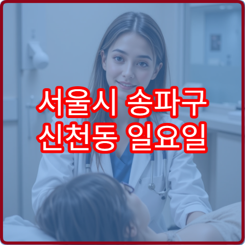 서울시 송파구 신천동 일요일 비뇨의학과 진료 병원 휴일