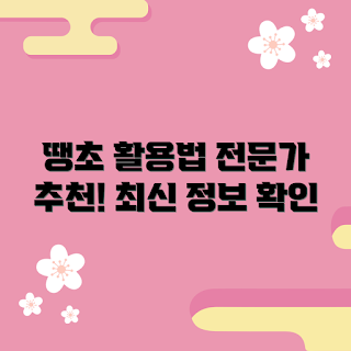 땡초 활용법, 땡초 요리, 땡초 건강 효능, 땡초 보관법, 땡초 검색량