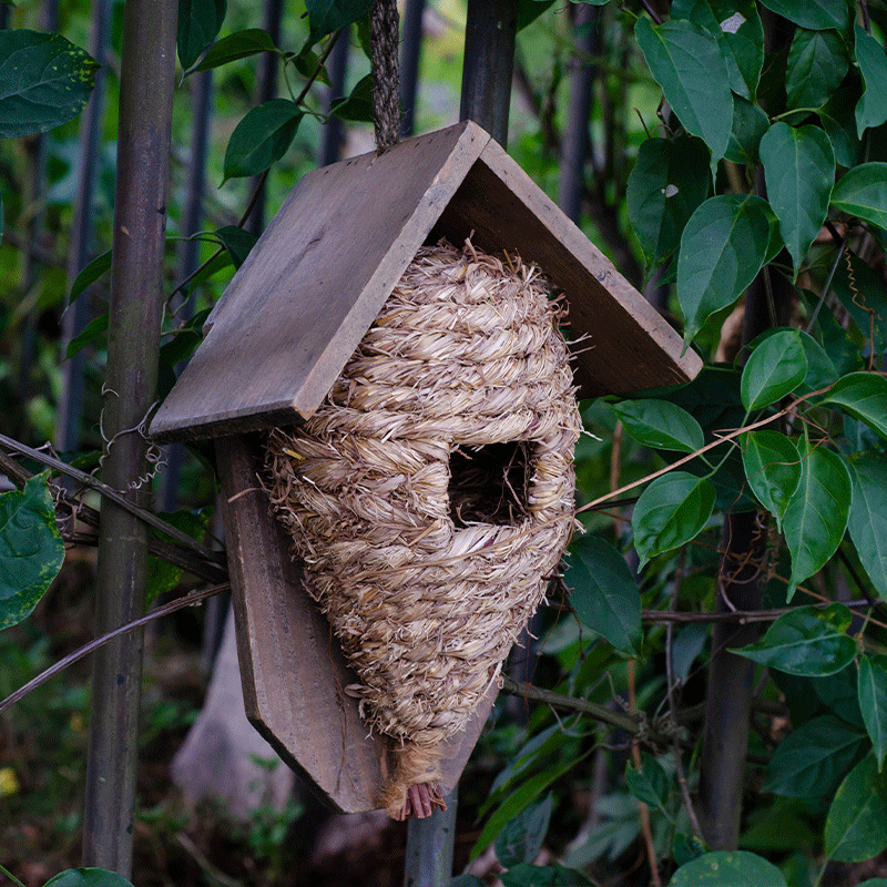 Wand-Vogelhaus aus Holz und Gras