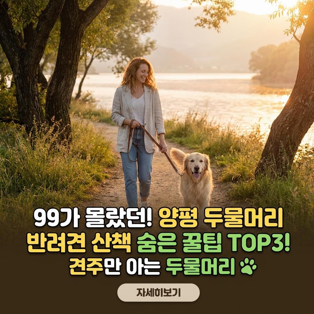 양평 두물머리 반려견 동반 산책 코스 완벽 가이드: 2026년 최신 정보