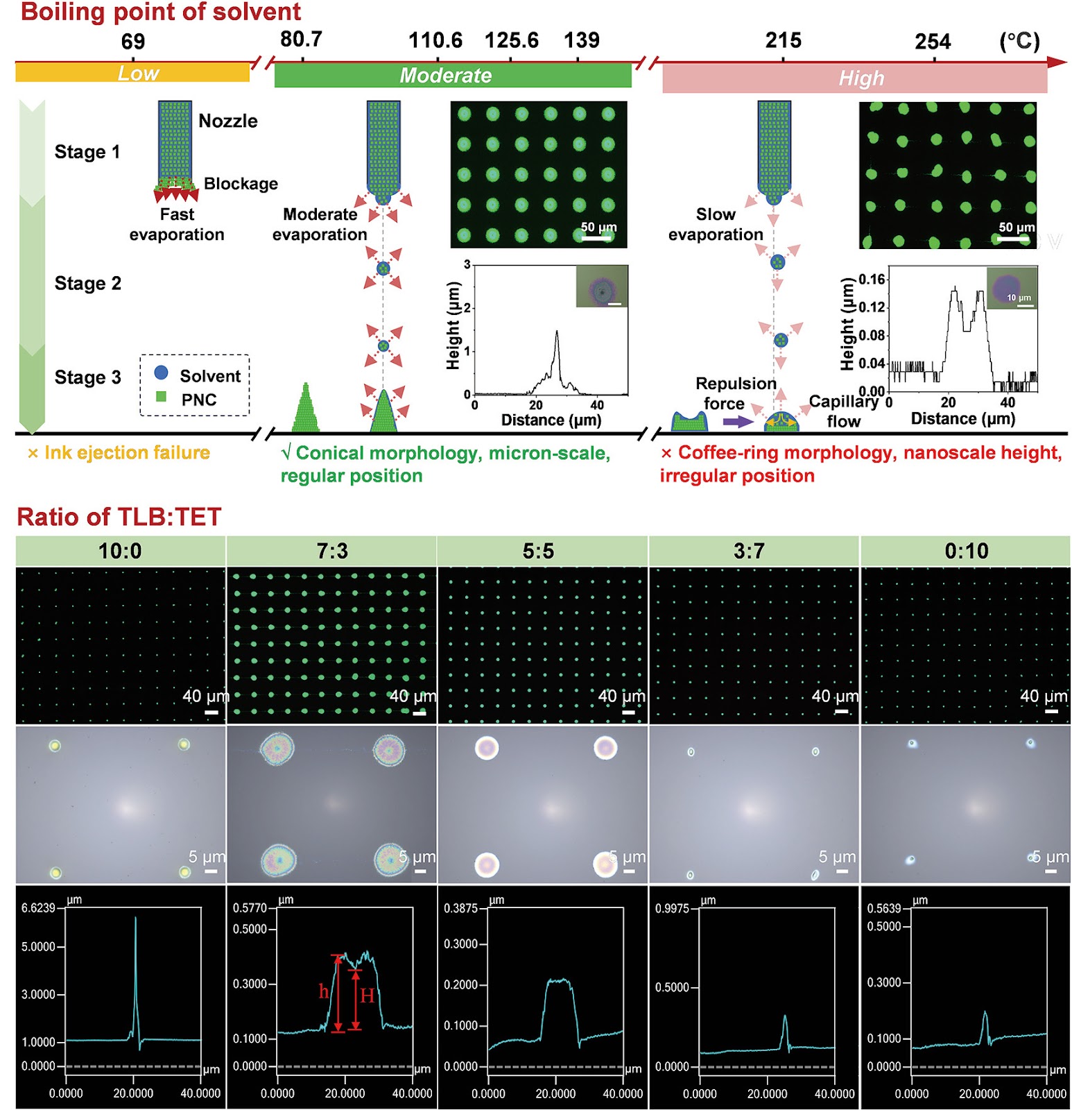 Electrohydrodynamic Inkjet Printing of Perovskite Quantum Dots for Color-Conversion Micro-LED Displays