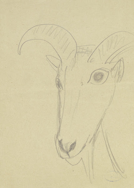 Ram head ca 1919