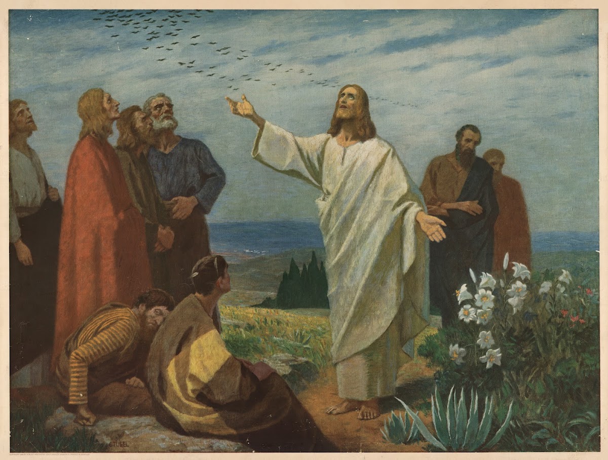 The birds of the air and the lilies of the field 1932