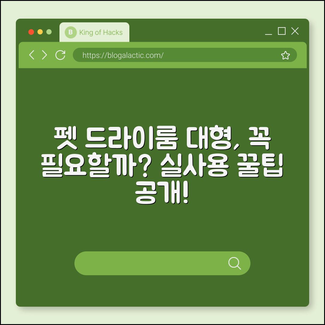 펫 드라이룸 대형, 정말 필요할까요?