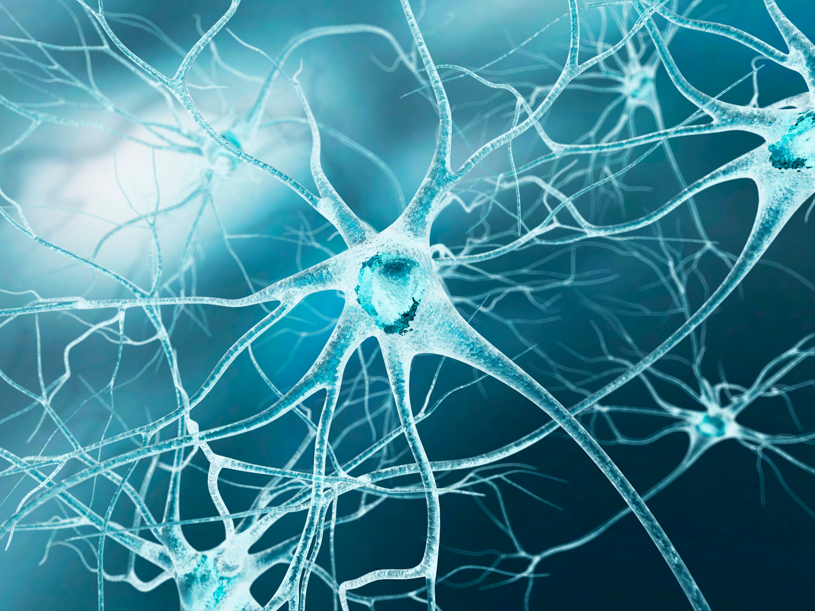 Votre cerveau s'adapte plus vite que vous ne le pensez : les secrets de l'appareillage auditif révélés