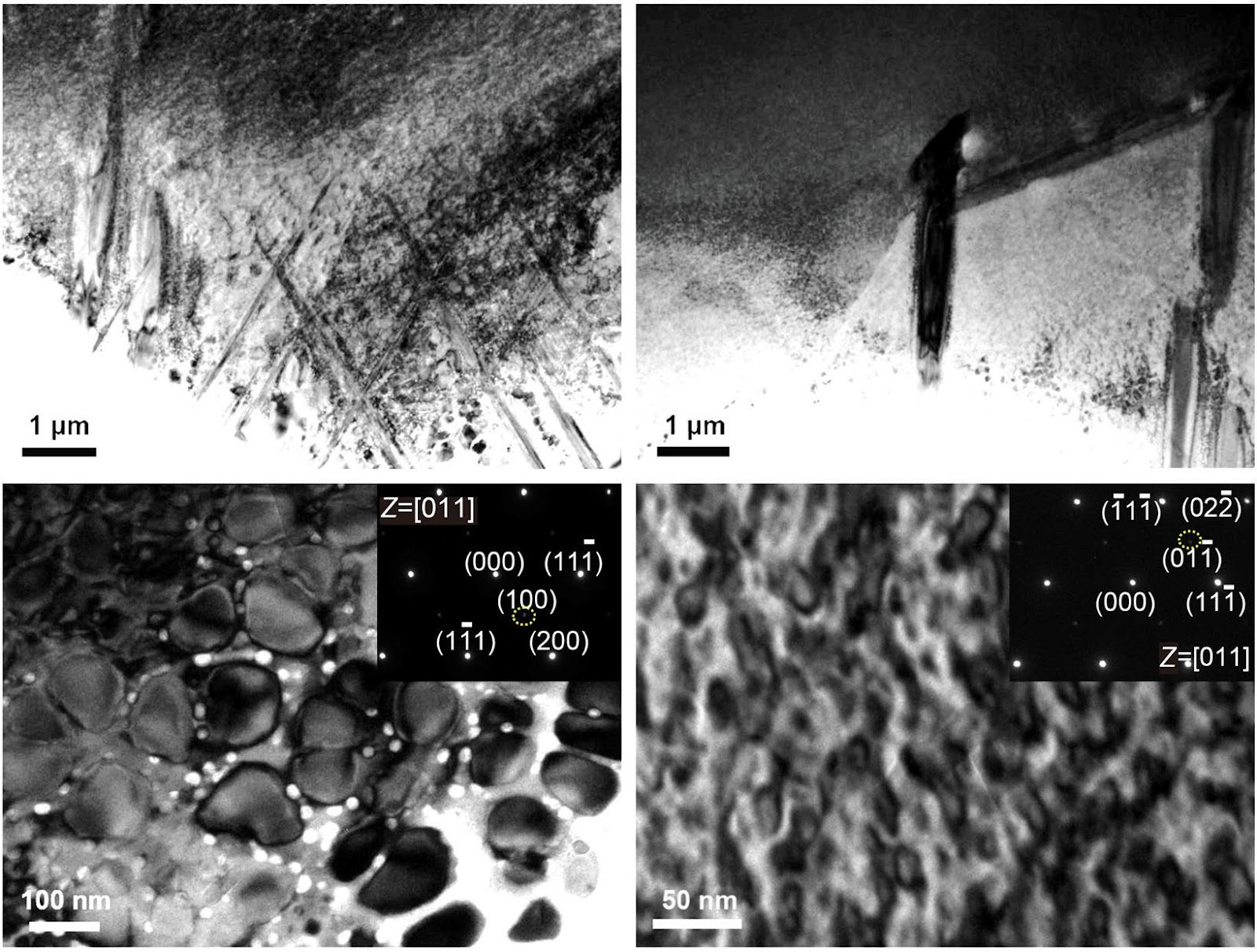 Tuning needle-like precipitation for enhanced strength-ductility synergy in a non-equiatomic FeNiCoCuTi high-entropy alloy