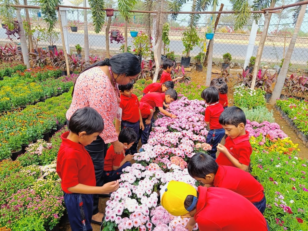 VOTM - Plant Nursery - Photo 2