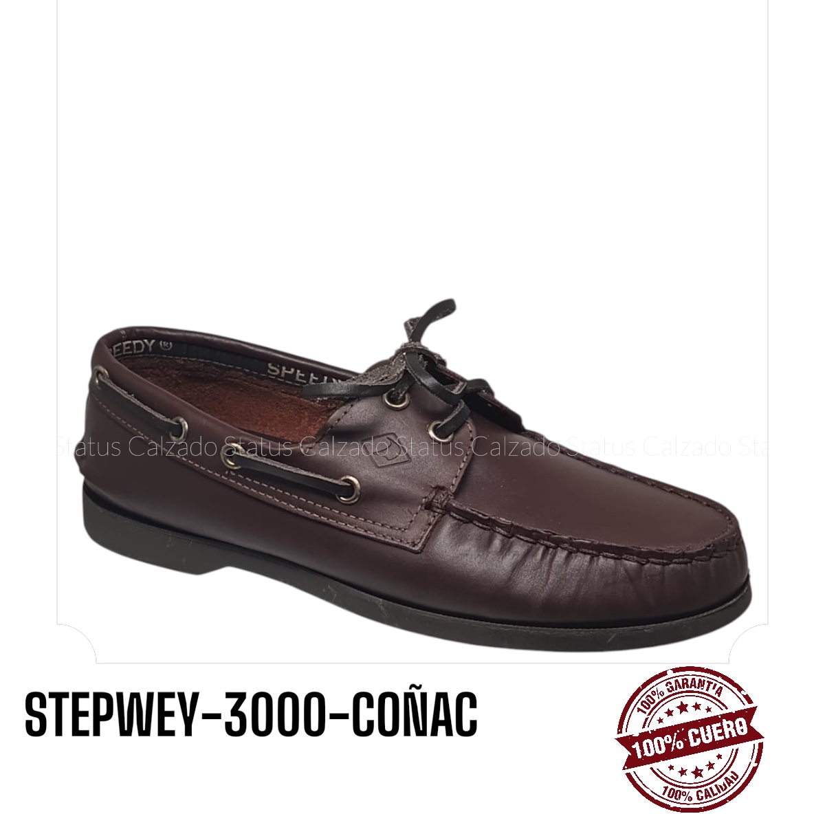 STEPWAY-3000-COÑAC
