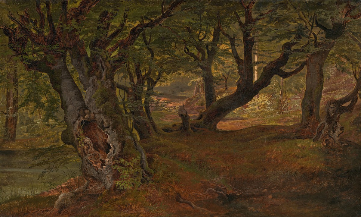 View of Bregentved Forest Sjaeeland mid 1830s