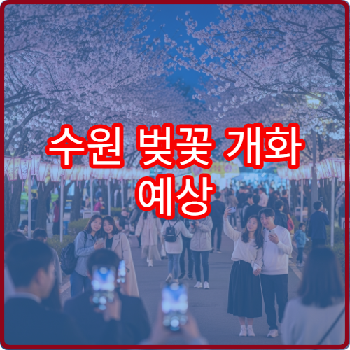 수원 벚꽃 개화 예상 화성 벚꽃 절정 시기